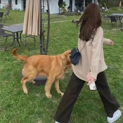 某种爱的纪录